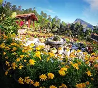 Ella Flower Garden